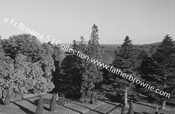 WINTER SUN  GARDEN FROM ROOF